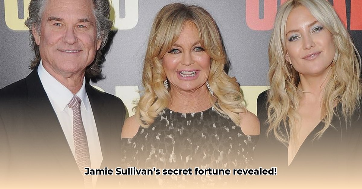 jamie-sullivan-net-worth